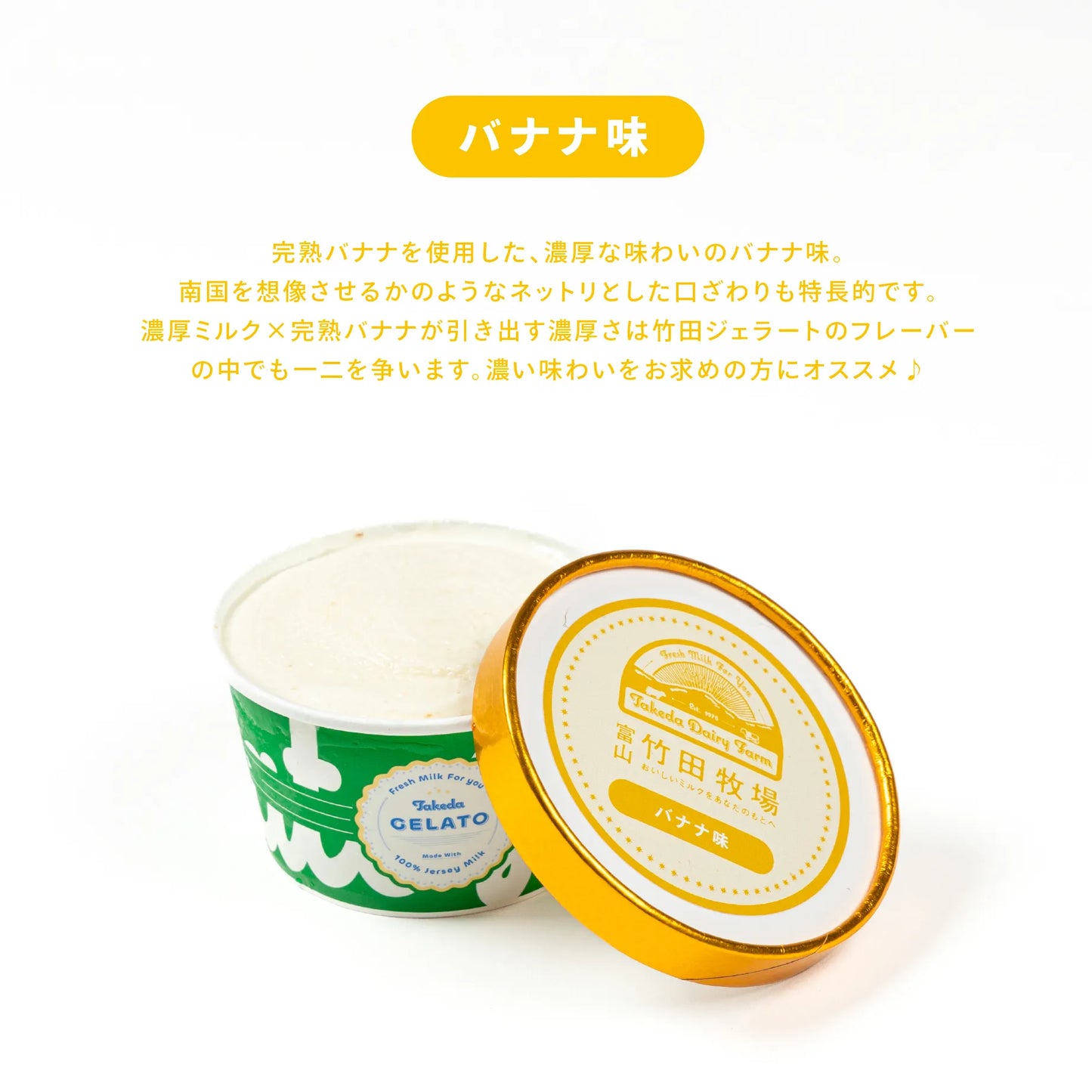竹田ジェラート|フルーツ 12個セット|カップ
