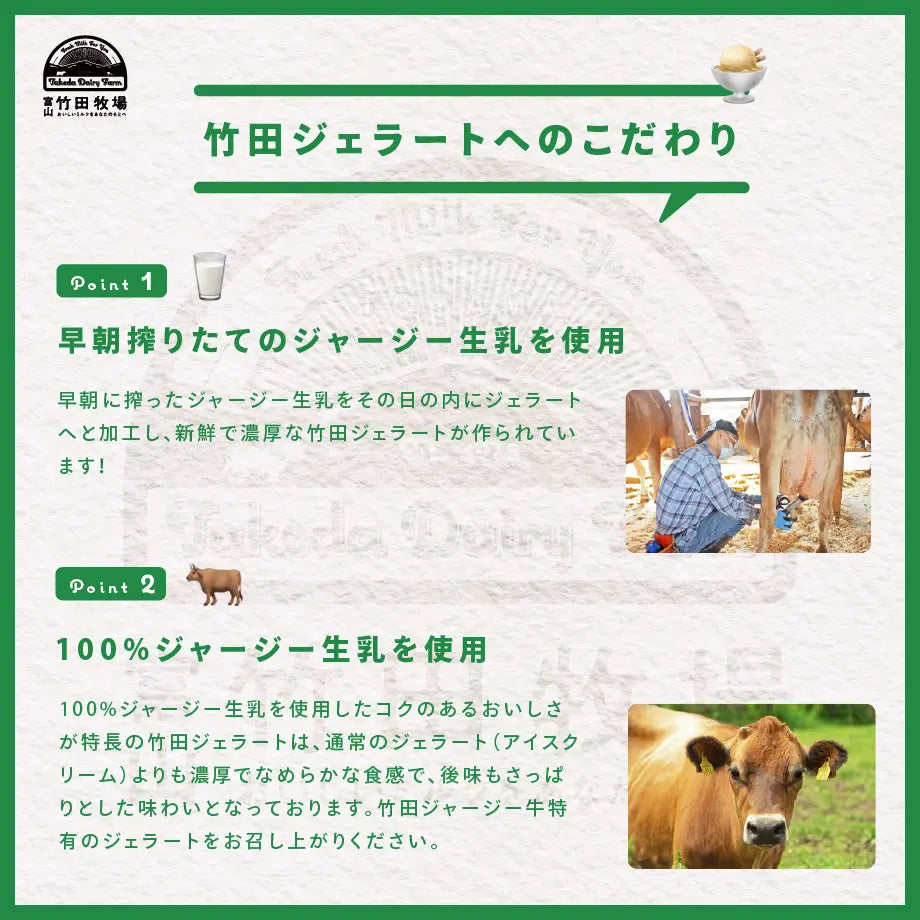 竹田ジェラート|フルーツ セット|カップ
