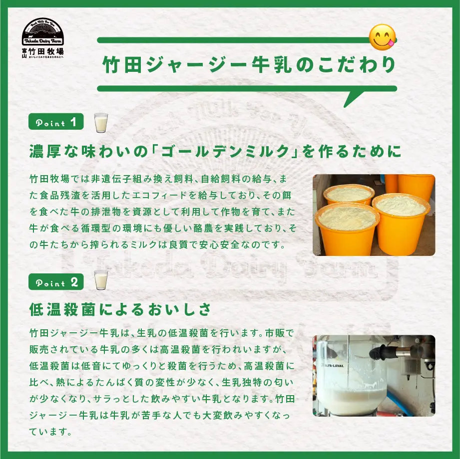 竹田ジェラート|フルーツ セット|カップ