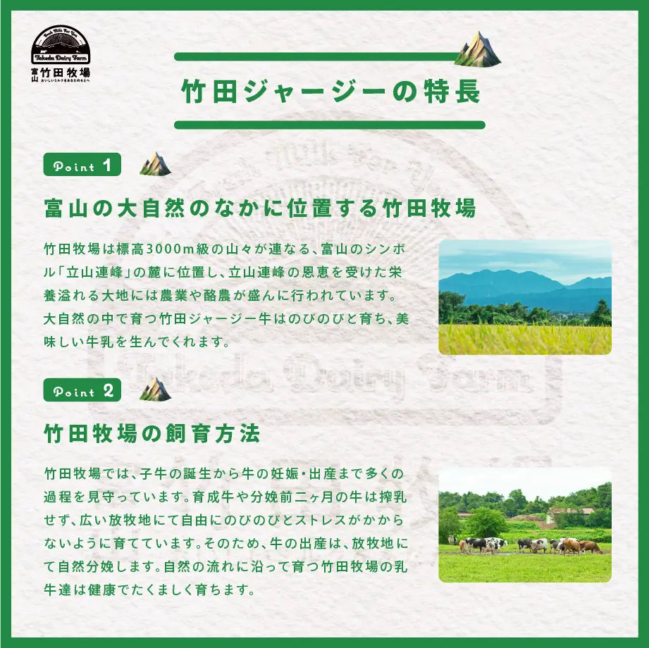 竹田ジェラート|フルーツ セット|カップ