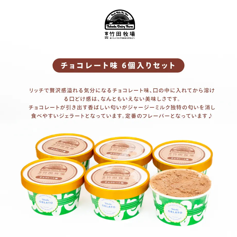 竹田ジェラート|チョコレート味 6個セット|カップ