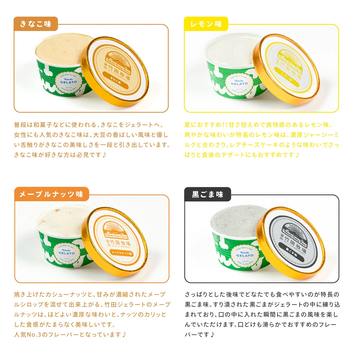 竹田ジェラートの種類説明1