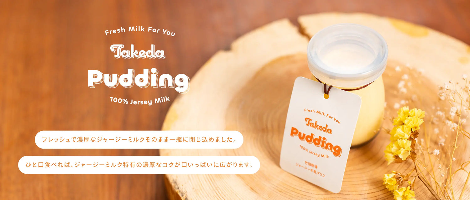 takeda pudding