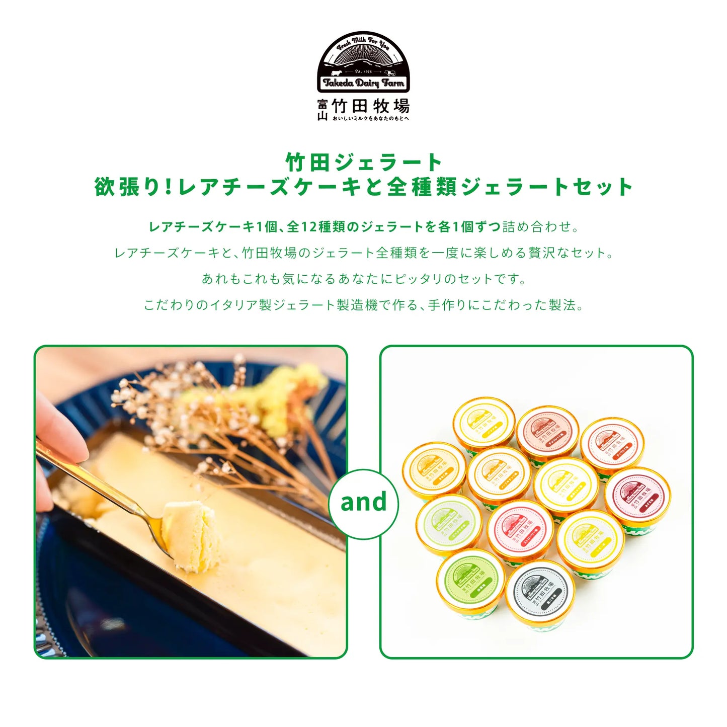 竹田ジェラート｜欲張り！レアチーズケーキと全種類ジェラートセット｜カップ